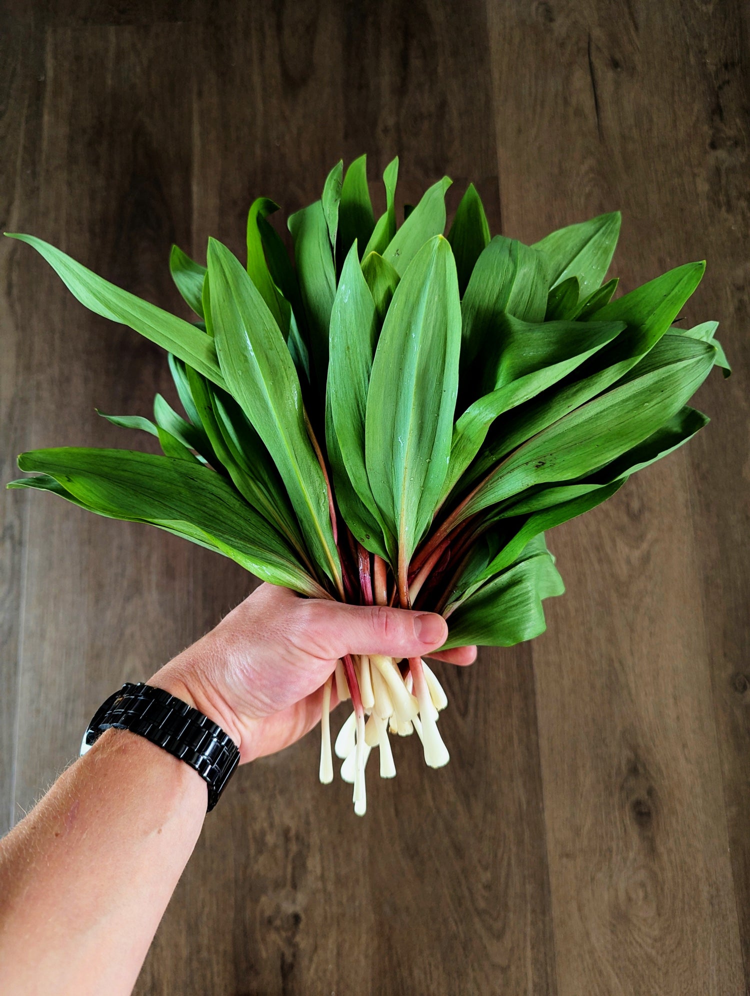 Buy seasonal and foraged goods